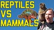 FailArmy Versus: Reptiles Vs. Mammals (February 2018) | FailArmy