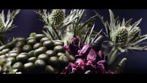 Alice Nine - SHADOWPLAY [PV] [Sub Español / English / Romaji]