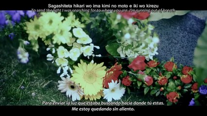 shooting star [PV] [Sub Español / English / Romaji]