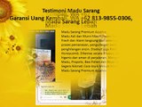 Garansi Uang Kembali, WA  62 813-9855-0306, Madu Sarang Lebah