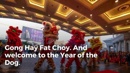 Chinese New Year: Las Vegas celebrates the Year of the Dog