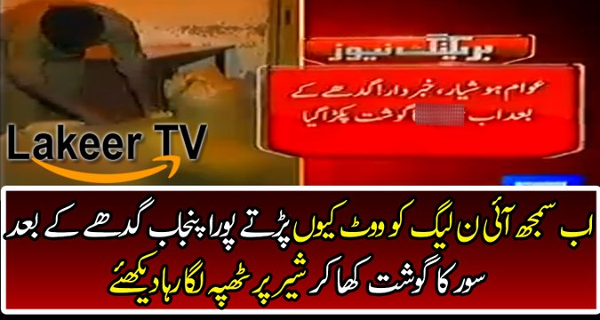 After Donkeys Now Punjabi Eating Pig Meat