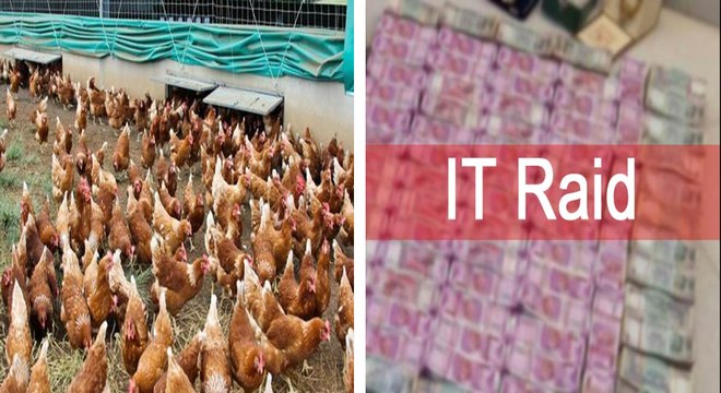 கருர் கோழிப்பண்ணையில் வருமான வரி ரெய்டு!