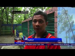 Beruang Madu, Penghunu Baru Nyadu Park - NET 10