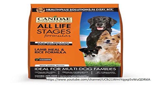 Amazon Echo Dot notice endorsed later method 'requested cat fare later picking up commercial'