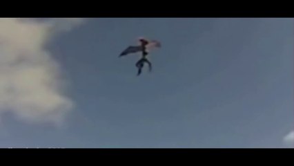 Top 10 angels caught on camera flying in the sky !
