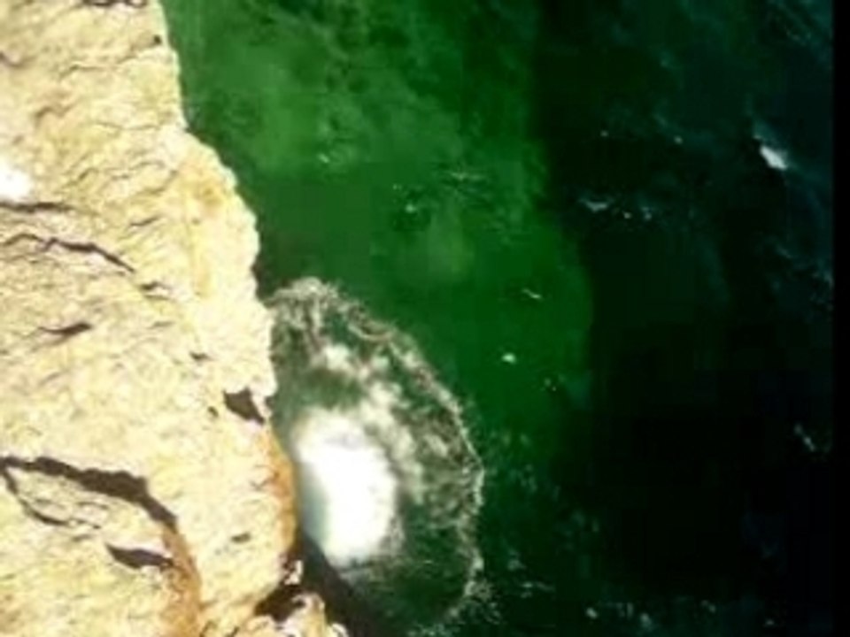 Cap negre (bis)