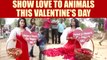 Valentine's Day : PETA spreads message of showing love to animals , Watch | Oneindia News