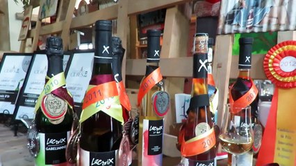 CanaDream- Good Place To Have A Good Time With Family