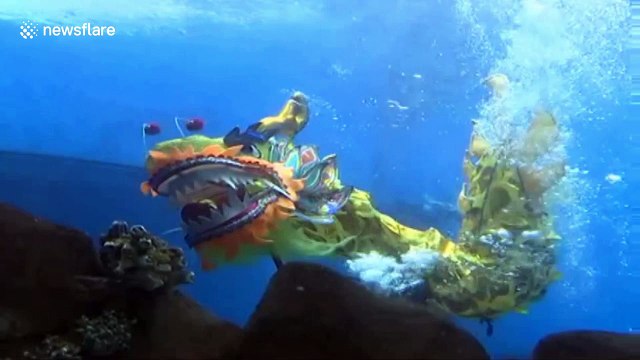 Aquarium holds dragon dance underwater for Chinese New Year celebrations