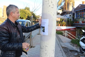 Sokak Sokak Dolaşıp Şeker'i Arıyor