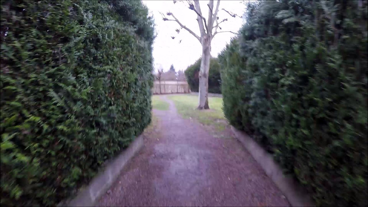 ️eXploration 17 | Laurent Guidali | Lake {Berchères} [Snow] (Pontault Combault) | Nature