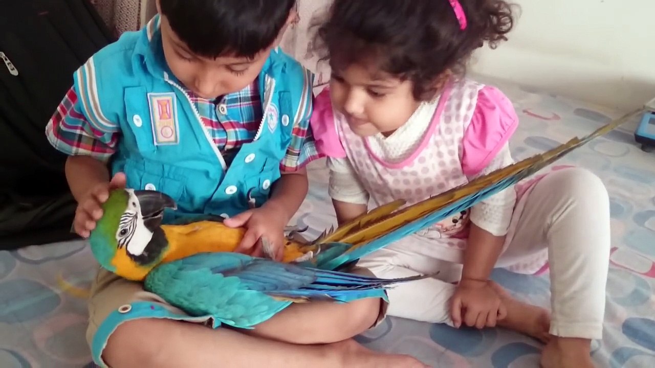Two girls holding bird like baby - so cute loving