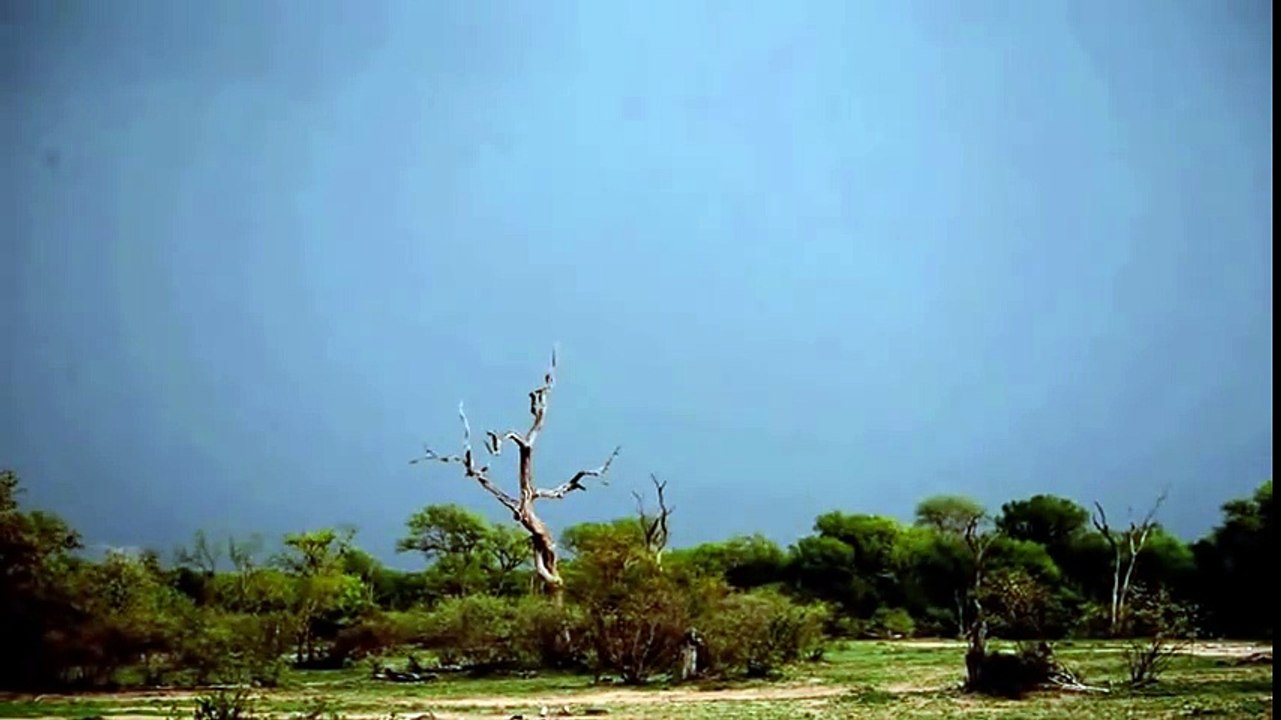 Amazing lightning bolts and thunder storm