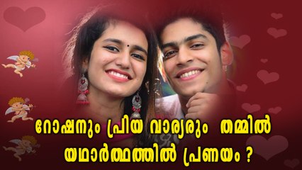 റോഷനും പ്രിയ വാര്യരും തമ്മിൽ യഥാർത്ഥത്തിൽ പ്രണയം? | filmibeat Malayalam