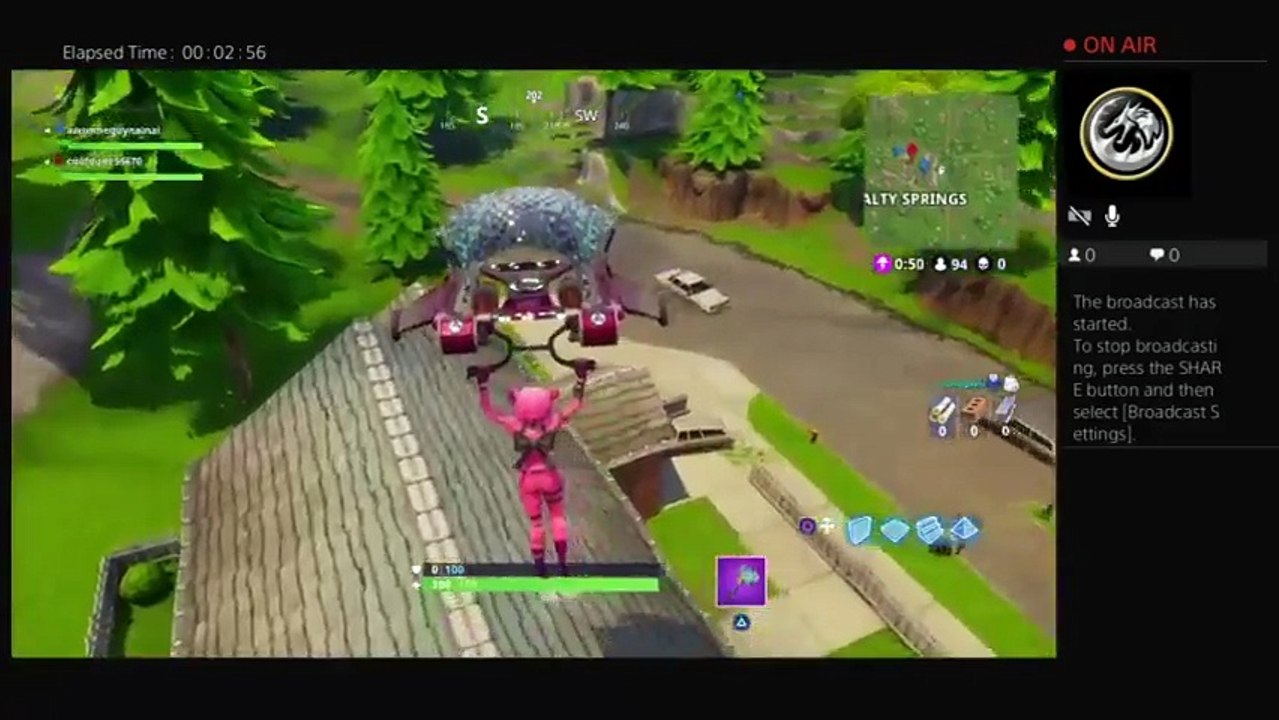 Fortnite (7)
