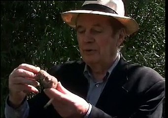 Il était une fois  André S. Labarthe