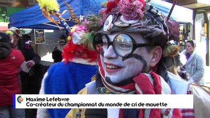 Actus : Médias et Cri de la Mouette... - 14 Février 2018