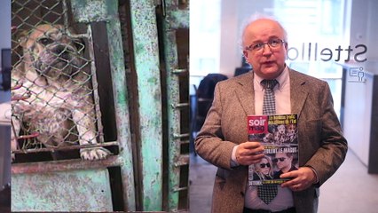 Présentation du Soir Mag du 14/02