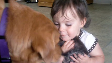 Little Girl Loves Her Kitten