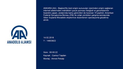 FBI'nın ihbar ettiği 15 çocuk istismarcısı yakalandı - ANKARA