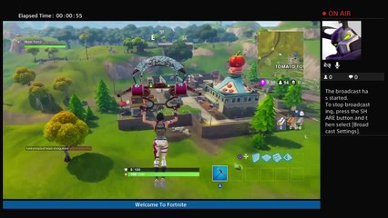 Fortnite solo going for that victory royal (6)