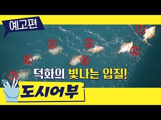[도시어부 예고] 평창의 열기를 방불케 하는 도시어부배 ☆거제 동계 스포츠 대회★