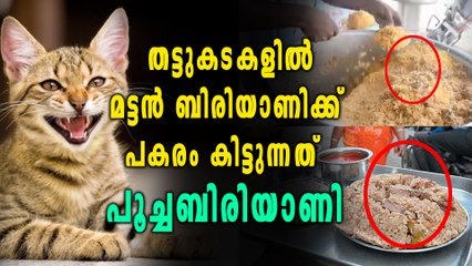 തട്ടുകടകളില്‍ മട്ടന്‍ ബിരിയാണിക്ക് പകരം പൂച്ചബിരിയാണി | Oneindia Malayalam