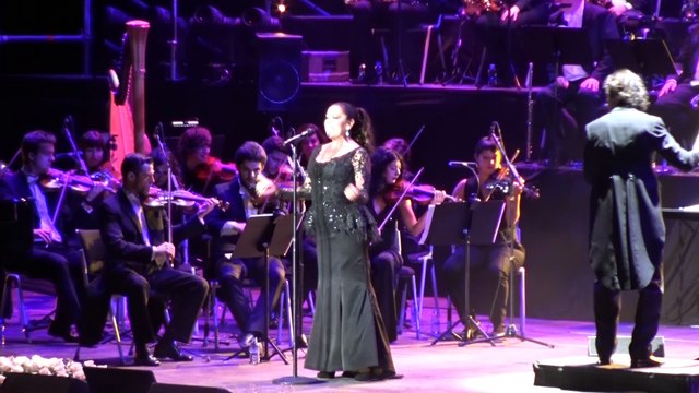 Pantoja intenta solucionar sus problemas con el visado