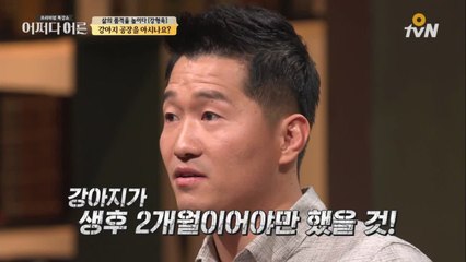 연말에 강아지가 많이 태어나는 이유 ㅠ.ㅠ