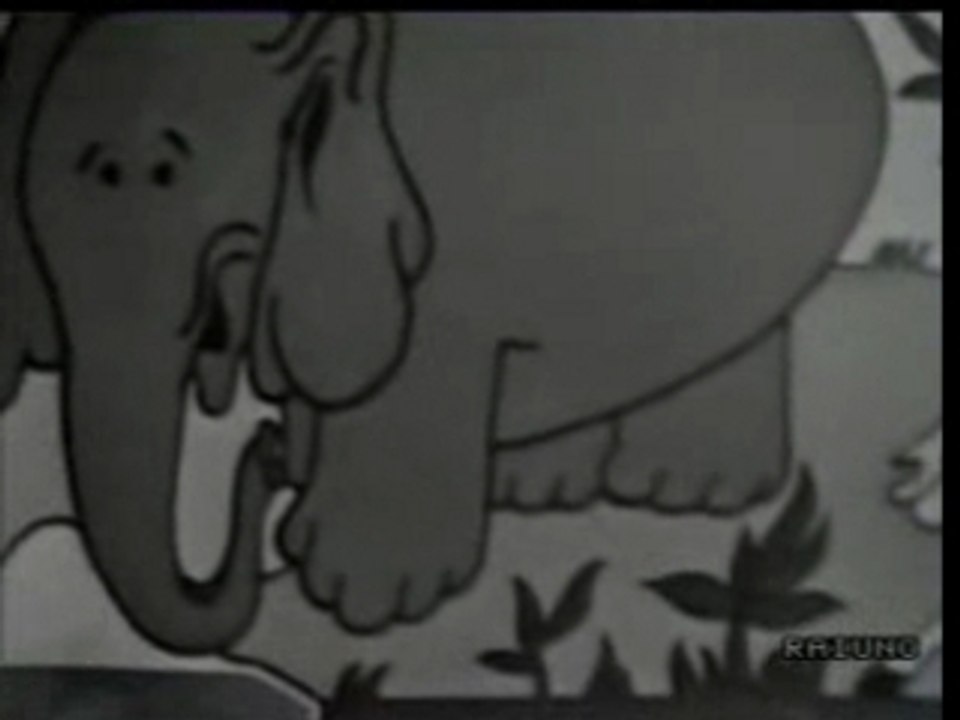 Volevo un gatto nero