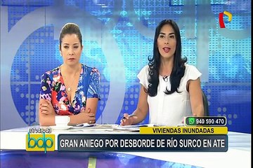 Desborde de río Surco deja decenas de viviendas afectadas en Ate