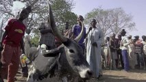 In central Nigeria peace eludes farmers and herders