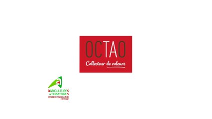 OCTAO un collecteur au service de l'emploi des jeunes