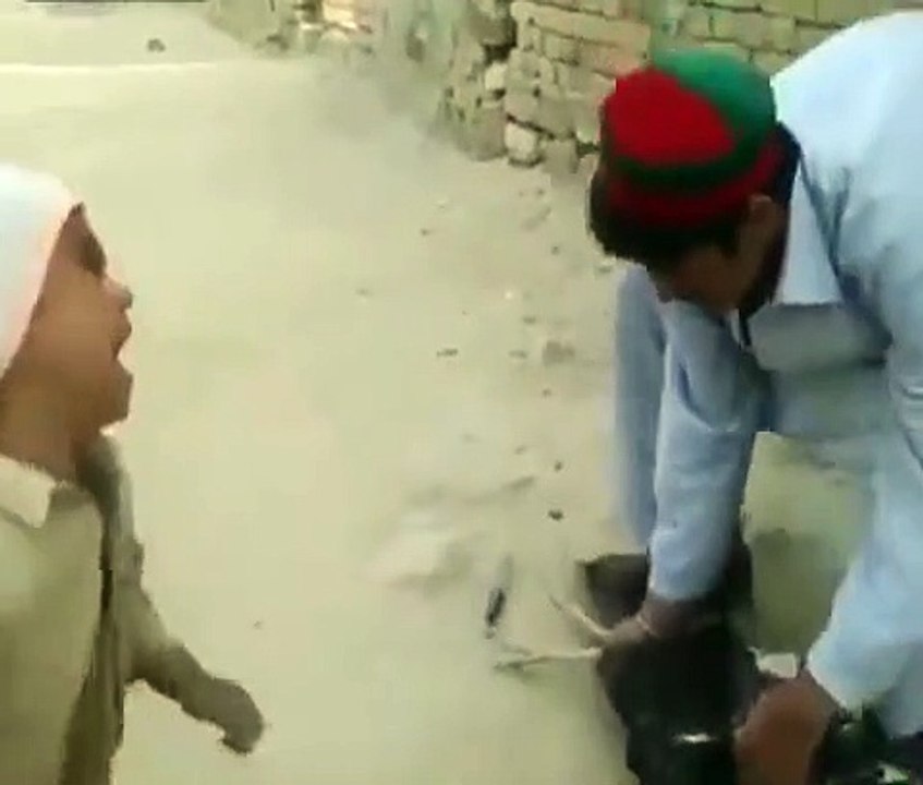 Un enfant sauve une poule que son père allait tuer