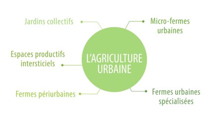Les grandes familles d’agriculture urbaine