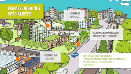 Les fermes urbaines spécialisées