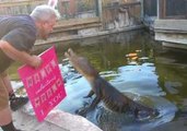 Gators Get Meaty Treat From Their Valentine