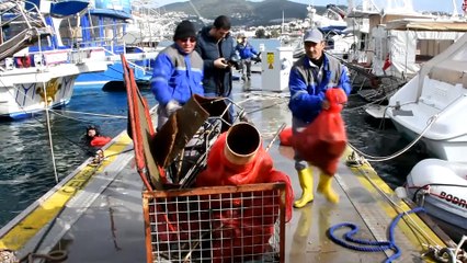 Mehmetçik'e su altından destek - MUĞLA