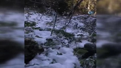 Doğu Karadeniz'de PKK'ya Karşı Operasyonlar Devam Ediyor