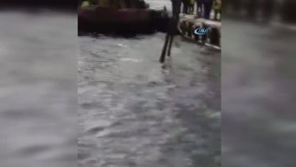 Freni Boşalan Kamyonet Denize Uçtu