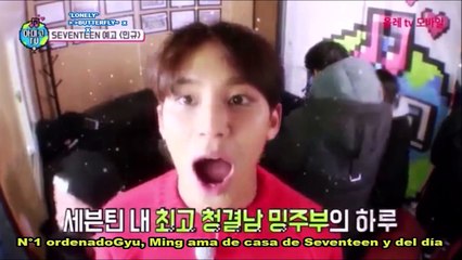 [Sub Esp] SEVENTEEN (세븐틴) Amigo TV Mingyu Adelanto