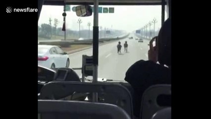 Horses run loose on busy motorway in China