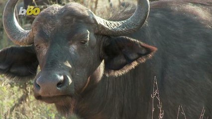 Loud Chewing Might Affect Your Ability To Learn