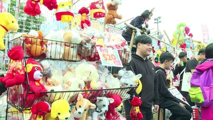 Año del perro muestra los dientes, predice feng shui