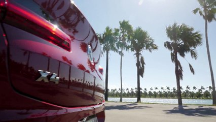 The new BMW X4