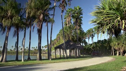 The new BMW X4 Driving Video