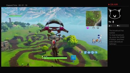 Fortnite solo win omg (8)