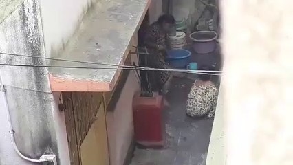 CCTV camera me harkat