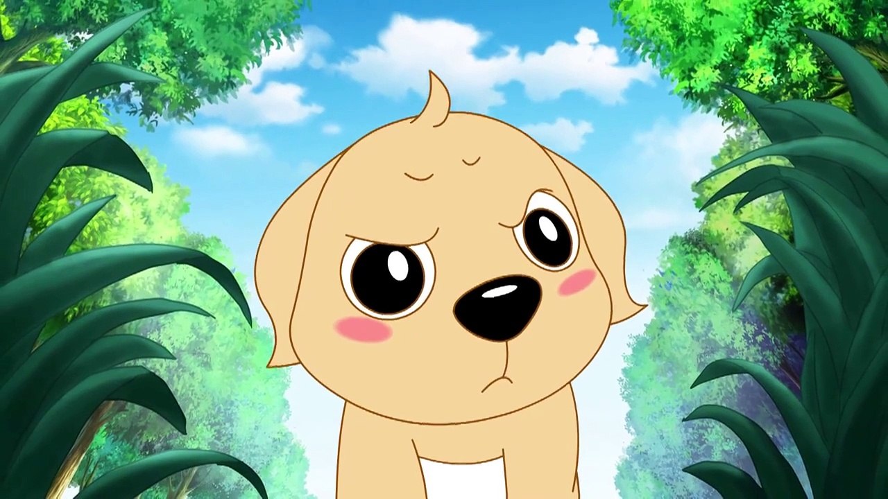 神犬小七 13